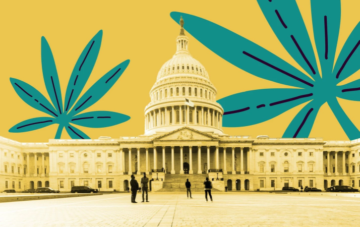 Read more about the article Federal Legalization MORE Act Comments