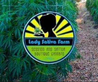 Lady Sativa logo 1