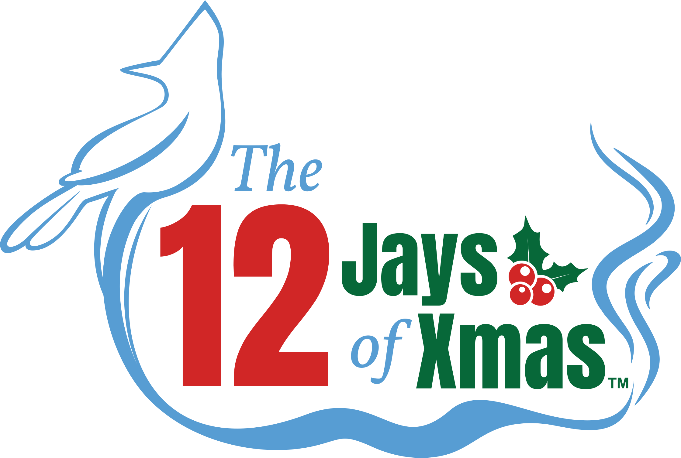 Read more about the article A Different Jay for Every Day – The 12 Jays of Xmas